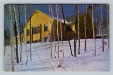 Whiteface Mountain Ski Center NY, Ski Lodge, New York Vintage Postcard picture