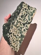 2.5 Pound: Ocean Jasper Drusy Agate Rough Endcut from Madagascar picture