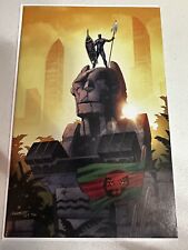 Black Panther #13 Rare 1:100 Pacheco Variant Black Panther picture