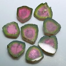 Top quality watermelon tourmaline slices - 14 carats picture