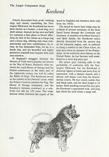The Keeshond - CUSTOM MATTED - Vintage Dog Art Print - 