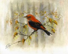 ✪ Original Oil Portrait Painting SCARLET TANAGER Red Black Bird Signed Artwork picture