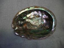 Very Large Vintage CA Red Abalone Seashell Mother of Pearl Shell 8 5/8
