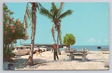 Postcard View Of The Popular Fishing Pier Fort Myers Florida picture