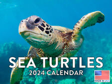 Sea Turtle 2024 Wall Calendar picture