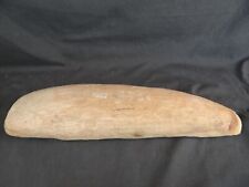 LARGE FISH FOSSIL Incredibly Detailed VINTIFER COMPTONI? High quality Brazil picture