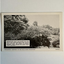 1939 New York Worlds Fair Morgantown Blue Ridge Mountains NC Exhibit Postcard picture