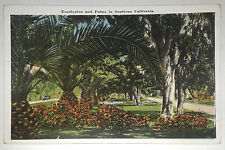 Eucalyptus and Palms in Southern California, Los Angeles, CA, linen - Unposted picture
