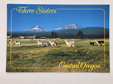 Postcard Three Sisters Mountains Llama Ranch Central Oregon Highway 20 Unposted picture