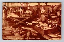 Columbia River, Interior Of A Salmon Cannery, Antique Vintage Souvenir Postcard picture