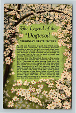 VA-Virginia, The Legend The Dogwood, State Flower, Vintage Postcard picture