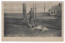 Vintage Postcard View of Hunter Standing Over Deer Shot at South Casco, Maine, picture