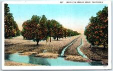 Postcard - Irrigated Orange - California picture