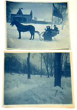 2 CYANOTYPE PHOTOS OF HORSE SLEIGH FLAG SNOW WINTER ANTIQUE picture