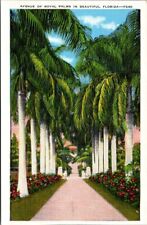 Vintage Florida Postcard - Royal Palms picture