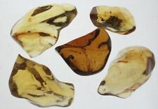 ++ AA  Full Polished Mexican Amber 113g ++ picture