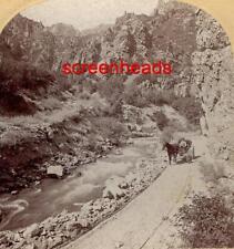 1897 STEREOVIEW PHOTO COLORADO American Fork Canyon WHITING VIEW CO. picture