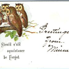 c1910s Minneapolis, MN Greetings Anthropomorphic Owls Poker Mica Glitter A153 picture