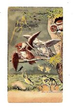 c1880 Trade Card Dr. Schilling's Corset Co. Fogs & Owls Fighting Desperation picture