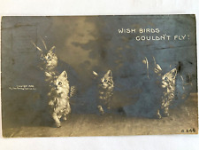 1909 RPPC: WISH BIRDS COULDN'T FLY antique real photograph postcard KITTENS CATS picture