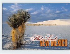 Postcard White Sands New Mexico USA North America picture