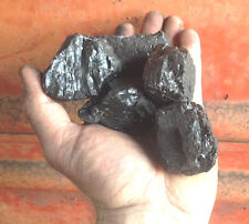 Forge Coal 25lbs  picture