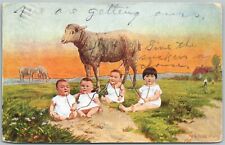 MULTIPLE BABIES MILKING SHEEP ANTIQUE POSTCARD  picture