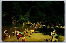 Cook Forest State Park Pennsylvania Postcard Beach Swimming Children Vintage PC picture