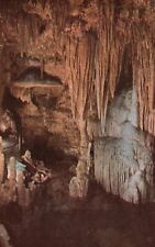 Postcard VA Luray Caverns Virginia Sacred River Unposted Vintage PC H6013 picture
