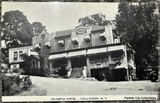 Antique Postcard Olympia Hotel Callicoon New York picture