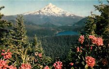 Mount Hood pm 1952 Postcard picture