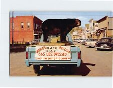 Postcard World's Record Black Bear Glidden Wisconsin USA picture