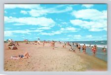 Chincoteague VA-Virginia, Chincoteague Assateague Beach, Vintage Postcard picture