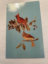 Postcard Cardinal Bird by J.J. Audubon Ky State Vintage Lithograph not posted picture