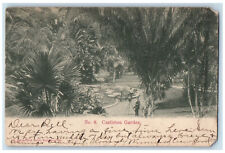 c1905 Taking Photos at Castleton Garden Jamaica Antique Posted Postcard picture