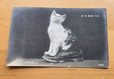 Rotograph In A Bad Fix Cat In Shoe RPPC Postcard picture