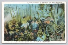Postcard Silver Springs From The City Of Ocala Florida picture