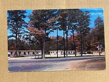 Postcard Levering Michigan Twin Motel Roadside Vintage MI PC picture