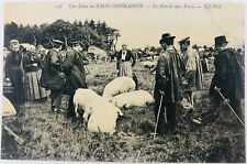 Vintage Normandy France RPPC A Fair in Lower Normandy The Pig Market Postcard picture