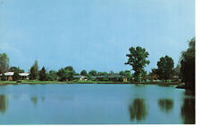 Vintage Postcard IL Carmi Griffith Lake Houses -1436 picture