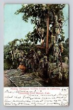 Hemet CA-California, General Greeting, Grapes, Antique Vintage Postcard picture