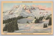 Postcard Paradise Valley in Spring, Rainier National Park Vintage 1949 picture