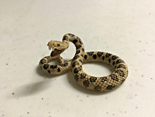 Schleich Wildlife 2014 14740 Rattlesnake - North America Reptile - Retired HTF picture