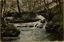 1907 Landscape Stream Creek View Wilber Park Oneonta NY Postcard C14 picture