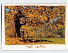 Postcard North Carolina Nature Scenery USA picture