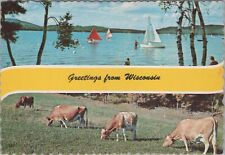 ZAYIX Postcard Greetings from Wisconsin Cows Cheese Sailboats Lake 083022PC21 picture