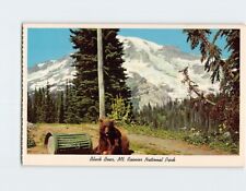 Postcard Black Bear Mt. Rainier National Park Washington USA picture
