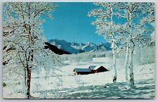 Aspen Colorado~Ashcroft Castle Valley~Toklat Lodge~1950s Postcard picture