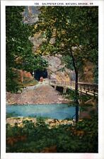 Postcard VA Natural Bridge Saltpeter Cave picture