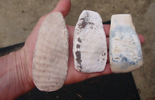 3 Fine Shell CELTS HOWE KEY SHELL CELT Deep South Arrowhead ~79~ picture